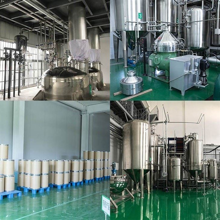 Centella Asiatica Extract factory